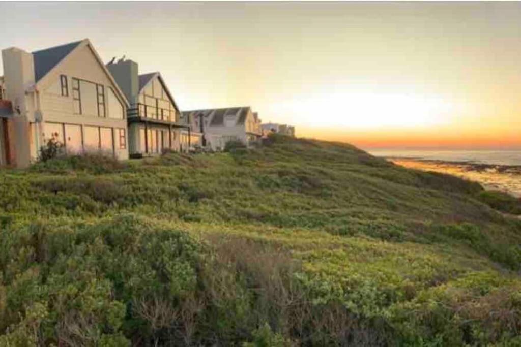 Baby Whale Bliss - Beachfront House ヴィットサント エクステリア 写真
