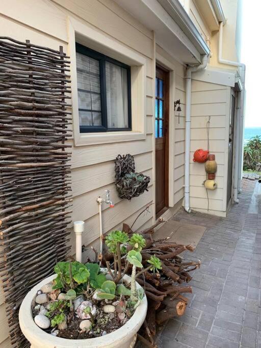 Baby Whale Bliss - Beachfront House ヴィットサント エクステリア 写真